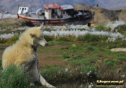 2012-11-15_[02].jpg